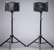 Bose 802 Speakers