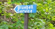 Bluebell Service